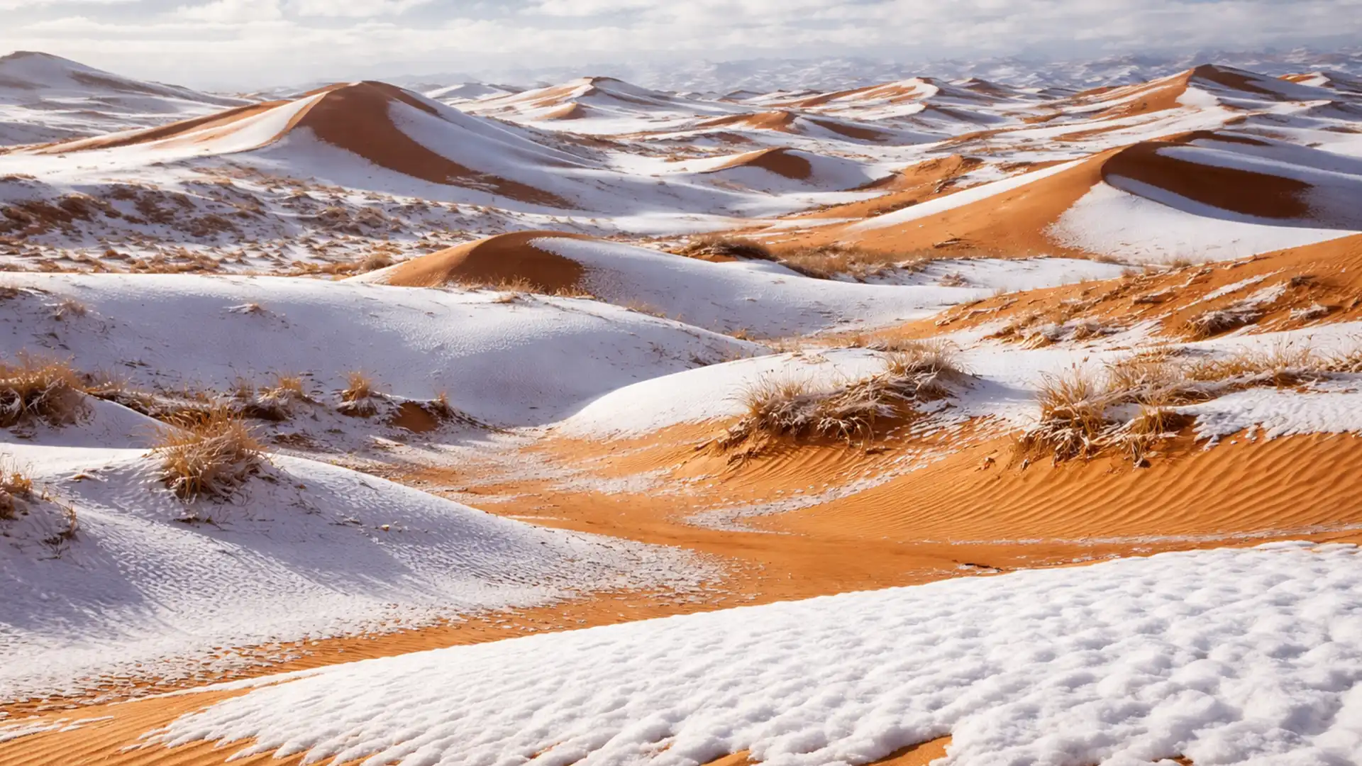 A nins din nou în Sahara: fenomen rar surprins pentru a șaptea oară în ultimele decenii